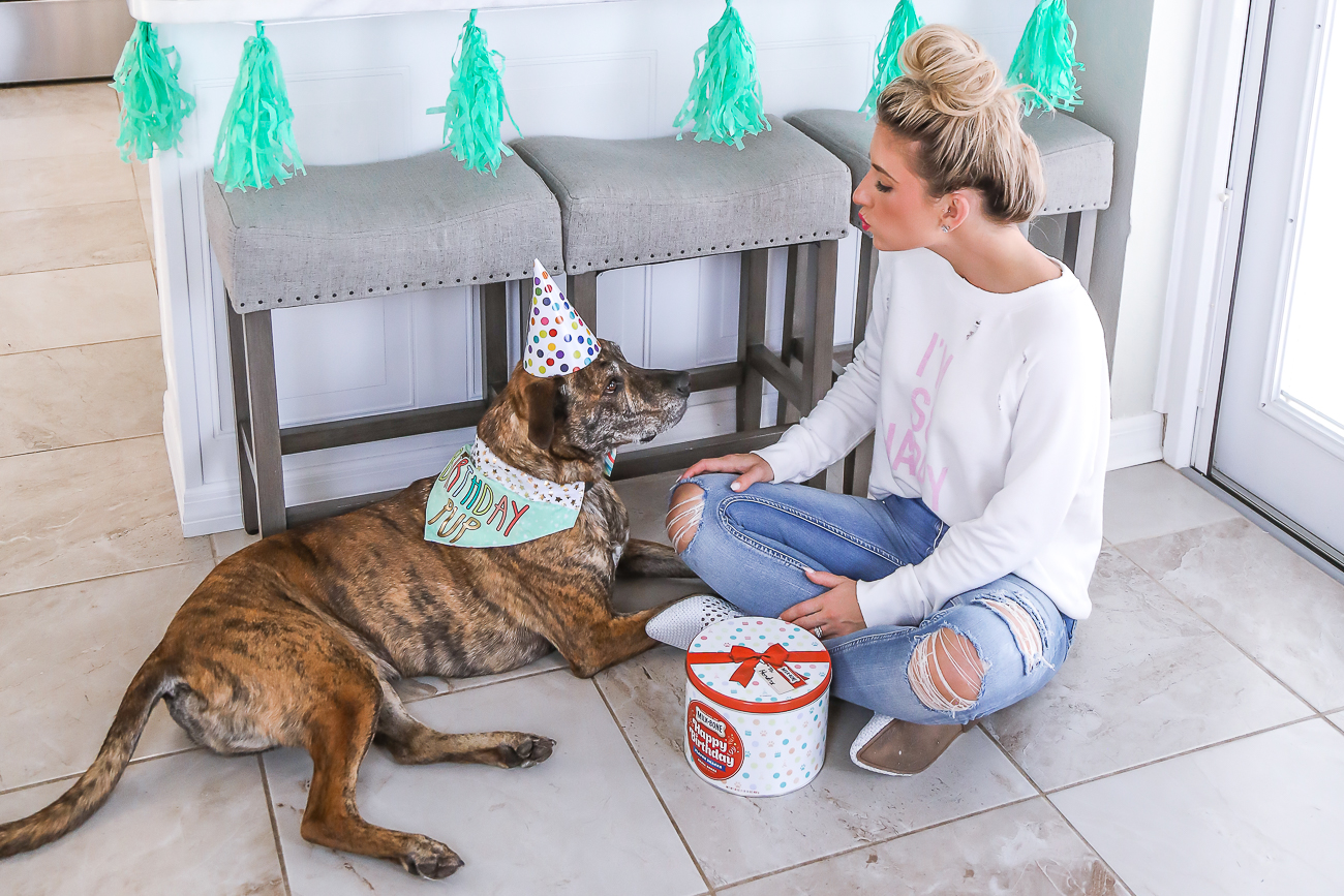 Dog Birthday Party Milkbone Birthday Tin Pawty USA Dog Treats
