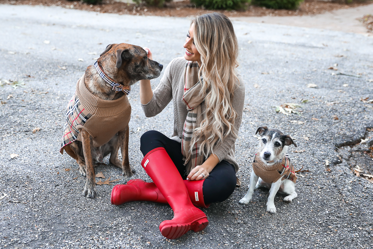 Thanksgiving Day Outfit Idea Red Hunter Boots Burberry Scarf Dog sweater Casual Holiday Outfit Idea